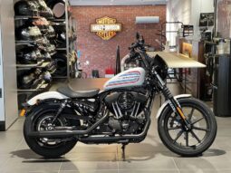 2021 Harley-Davidson Iron 1200 (XL1200NS)