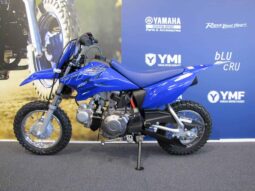 
										2022 Yamaha TT-R50E full									