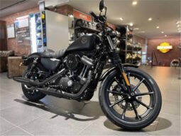 
										2021 Harley-Davidson Iron 883 (XL883N) full									