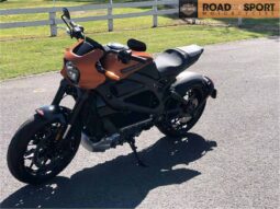 
										2021 Harley-Davidson LiveWire full									