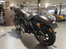 
										2021 Harley-Davidson Iron 883 (XL883N) full									