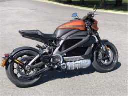 
										2021 Harley-Davidson LiveWire full									