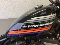 
										2019 Harley-Davidson Forty-Eight Special (XL1200XS) full									