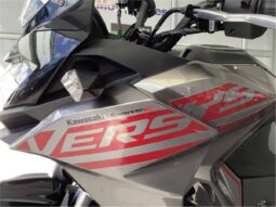 
										2021 Kawasaki Versys-X 300 (KLE300C) full									