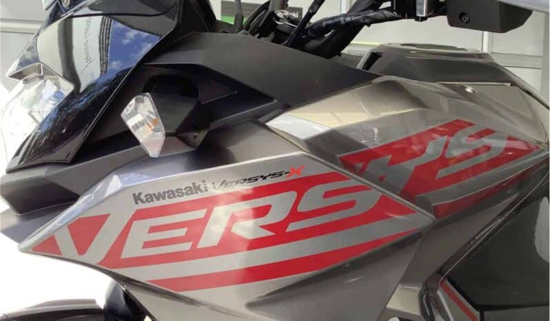 
								2021 Kawasaki Versys-X 300 (KLE300C) full									