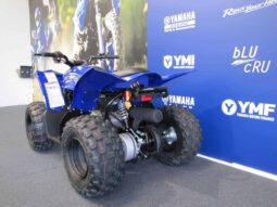 
										2022 Yamaha YFZ50 full									